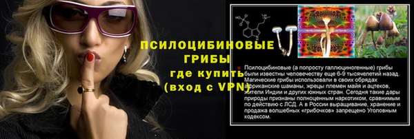 прущие крисы Бородино