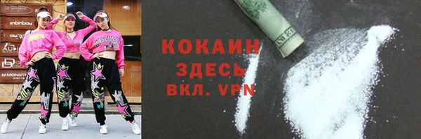 прущие крисы Бородино