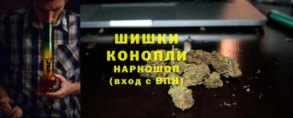 прущие крисы Бородино