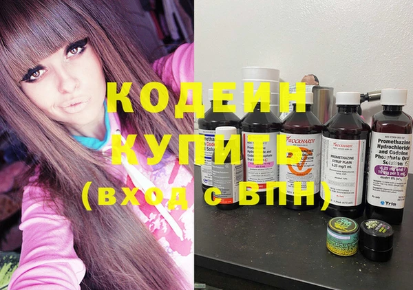 прущие крисы Бородино